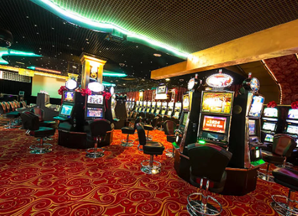 Betwild Casino